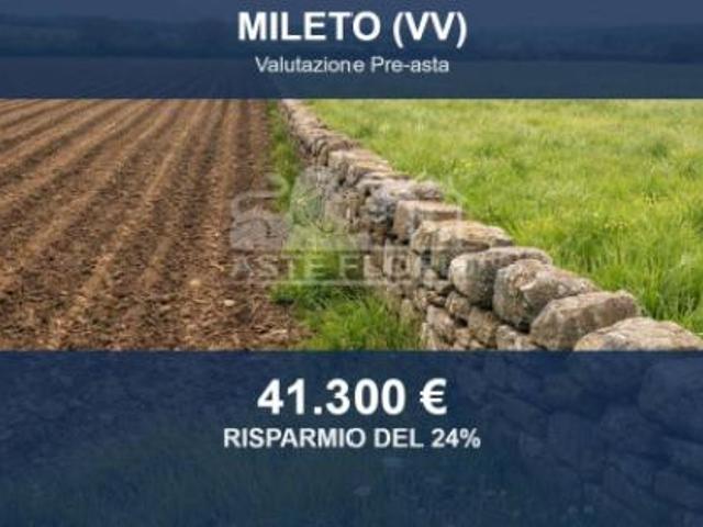 Terreno in vendita a Calabria, Vibo Valentia