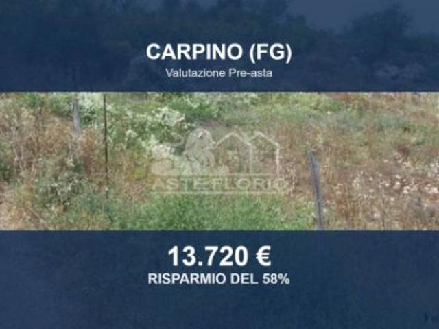 Terreno in vendita a Carpino, Foggia