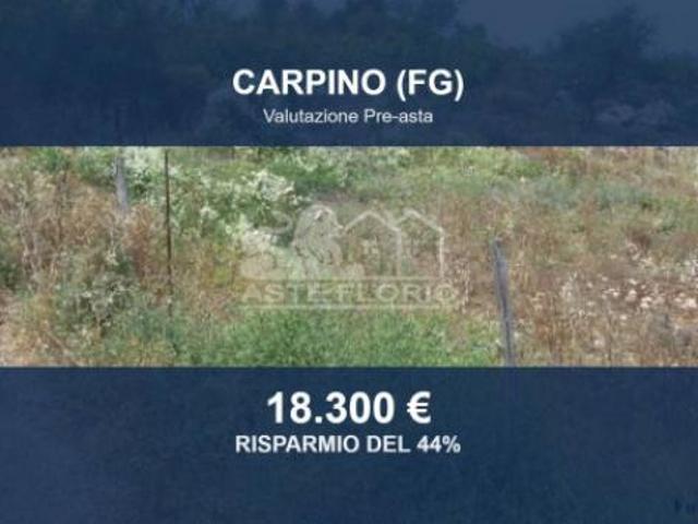Terreno in vendita a Puglia, Foggia