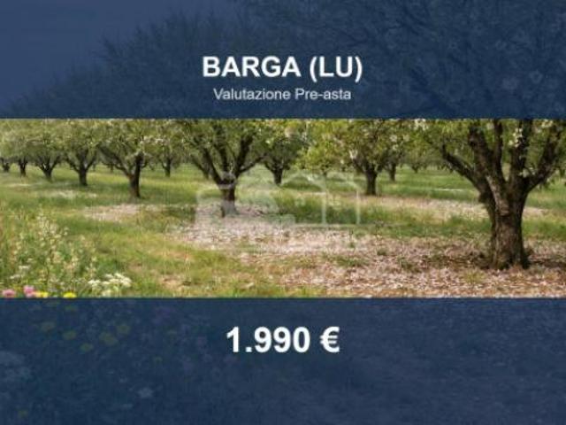Terreno in vendita a Unione dei comuni Media Valle del Serchio, Barga