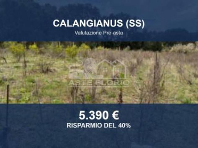 Terreno in vendita a Calangianus, Sardigna/Sardegna