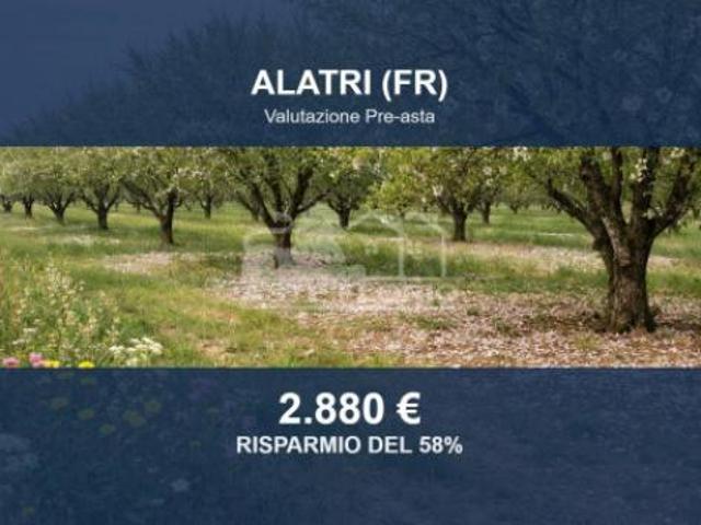Terreno in vendita a Alatri, Lazio