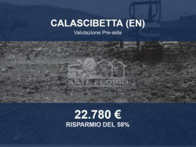 Terreno in vendita a Calascibetta, Sicilia
