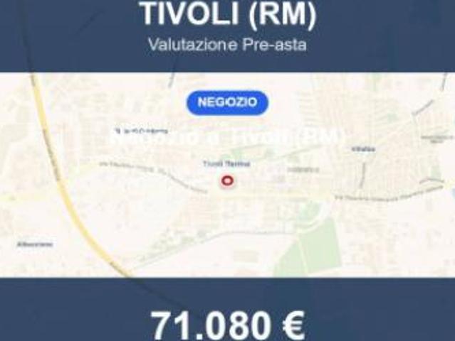 Locale Commerciale in vendita a Roma Capitale, Lazio