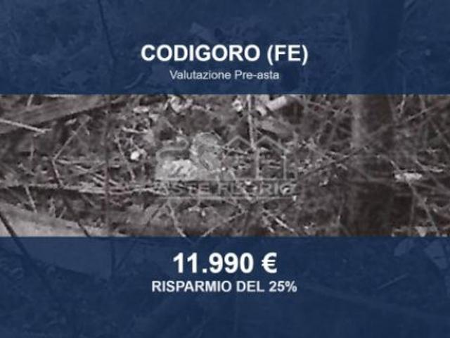 Villa Indipendente in vendita a Codigoro, Ferrara