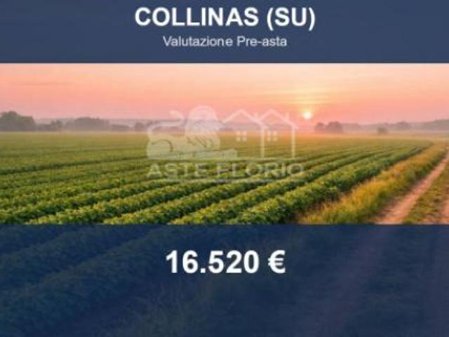 Terreno in vendita a Collinas, Sardigna/Sardegna