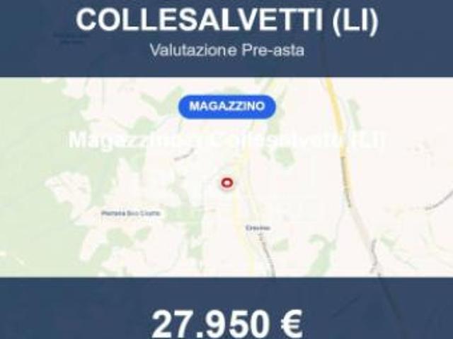 Capannone in vendita a Collesalvetti, Toscana
