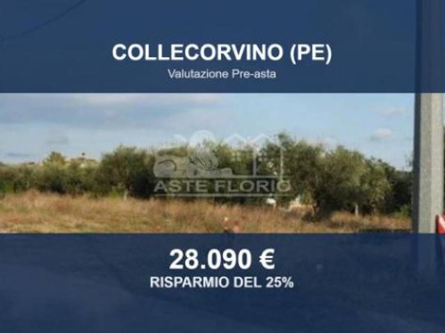 Terreno in vendita a Collecorvino, Abruzzo