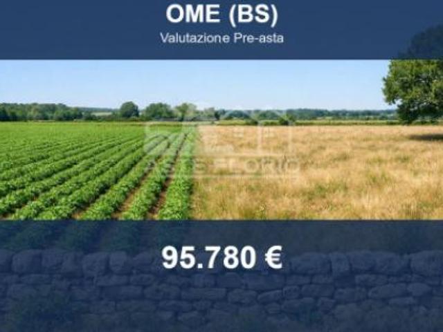 Terreno in vendita a Comunità montana del Sebino bresciano, Ome