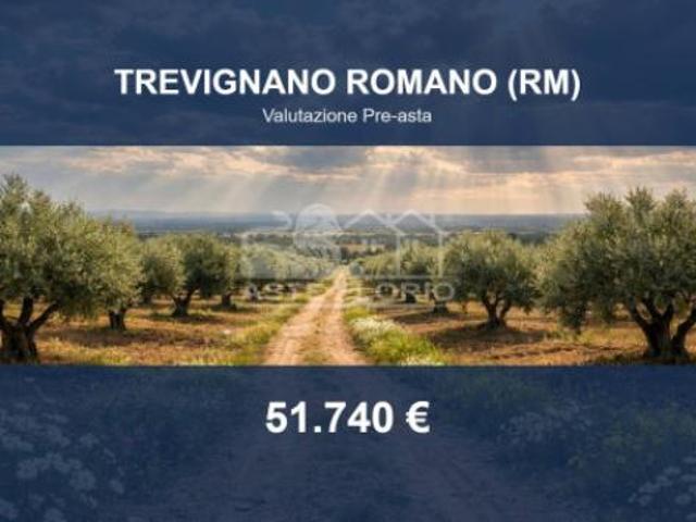 Terreno in vendita a Roma Capitale, Lazio