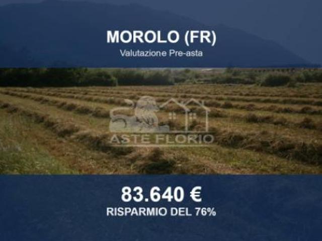 Terreno in vendita a Morolo, Lazio