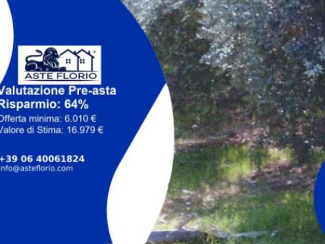 Terreno in vendita a Calabria, Cosenza