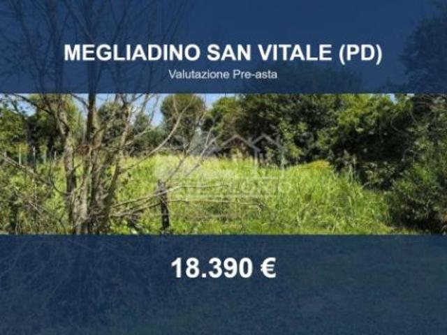 Terreno in vendita a Megliadino San Vitale, Veneto