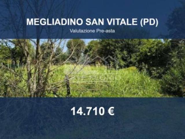 Terreno in vendita a Megliadino San Vitale, Veneto