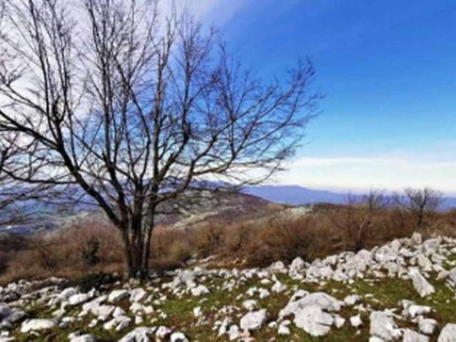 Terreno in vendita a Rocca Massima, Lazio