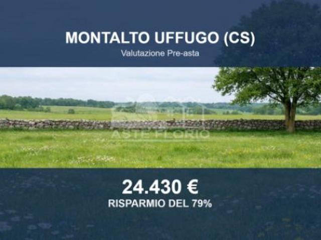Terreno in vendita a Calabria, Cosenza