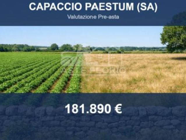 Terreno in vendita a Capaccio, Campania