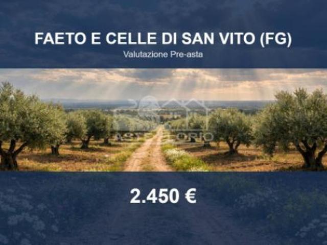 Terreno in vendita a Puglia, Foggia