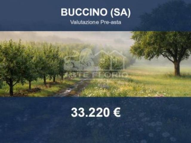 Terreno in vendita a Buccino, Campania