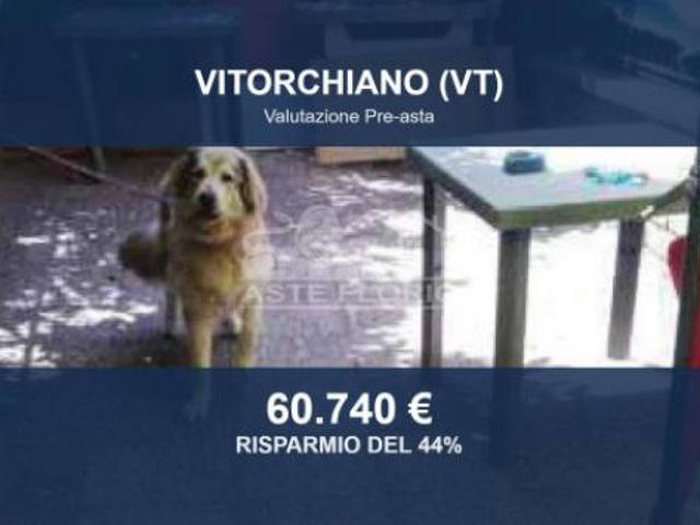 Villa Indipendente in vendita a Vitorchiano, Lazio