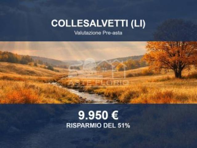 Terreno in vendita a Collesalvetti, Toscana