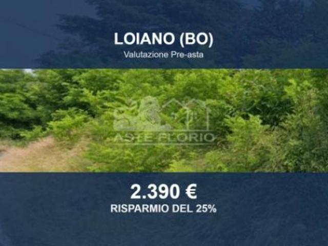 Terreno in vendita a Unione dei comuni Savena-Idice, Loiano