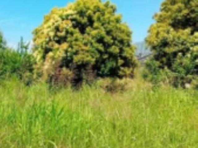 Terreno in vendita a San Tammaro, Campania