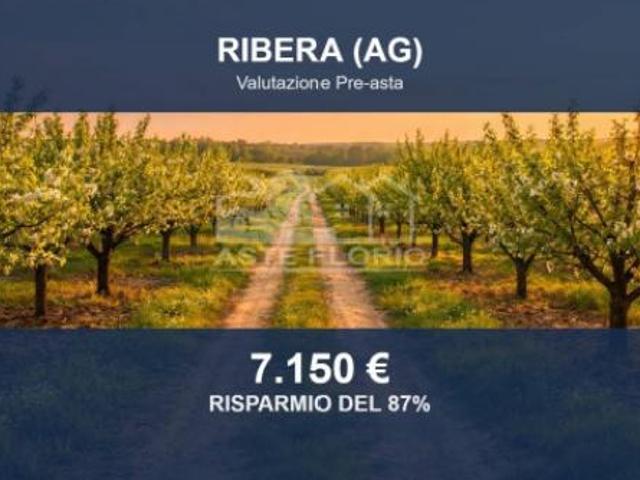 Terreno in vendita a Ribera, Sicilia