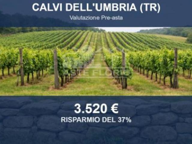 Terreno in vendita a Calvi dell'Umbria, Terni