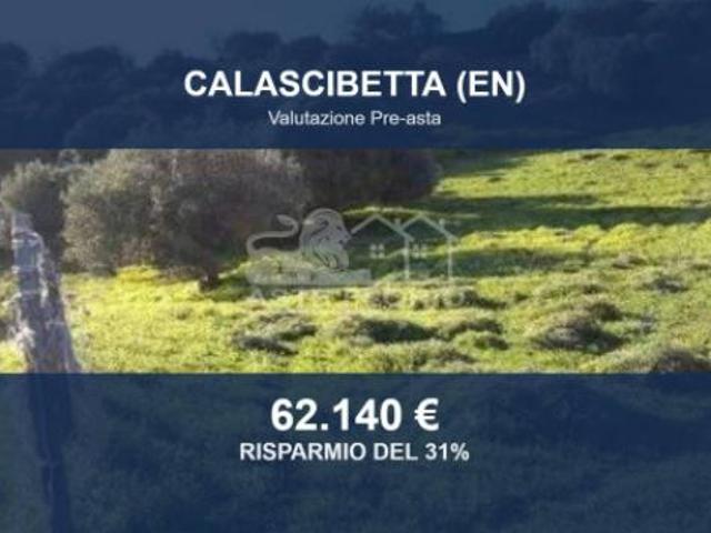 Terreno in vendita a Calascibetta, Sicilia