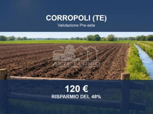 Terreno in vendita a Unione dei Comuni della Val Vibrata, Corropoli
