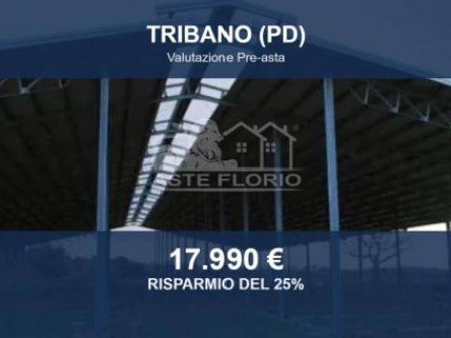 Terreno in vendita a Tribano, Veneto