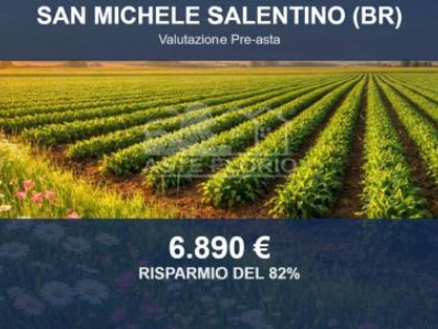 Terreno in vendita a Puglia, Brindisi
