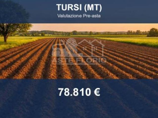 Terreno in vendita a Tursi, Basilicata