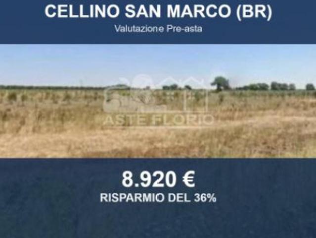 Terreno in vendita a Puglia, Brindisi
