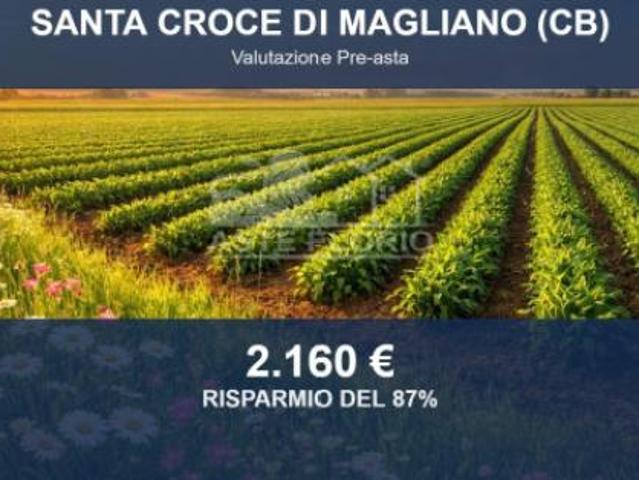 Terreno in vendita a Santa Croce Di Magliano, Molise