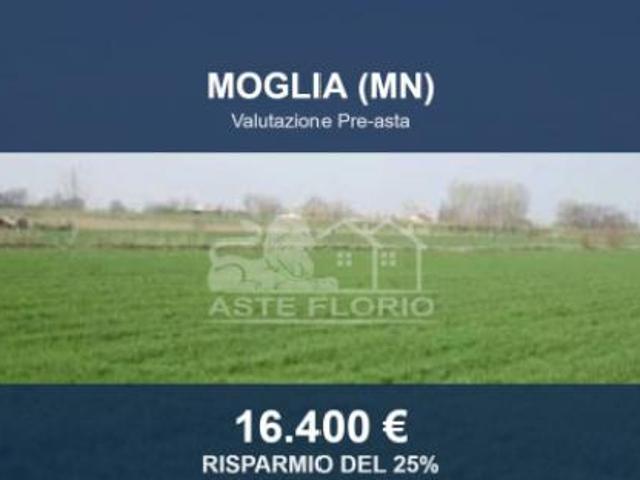 Terreno in vendita a Moglia, Lombardia