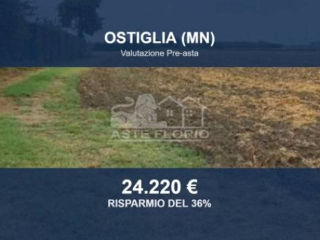 Terreno in vendita a Ostiglia, Lombardia