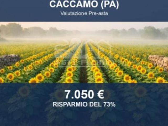 Terreno in vendita a Caccamo, Sicilia