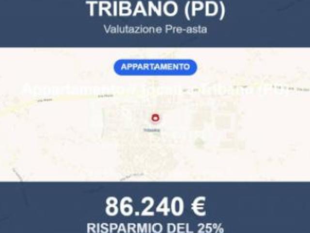 Appartamento in vendita a Tribano, Veneto