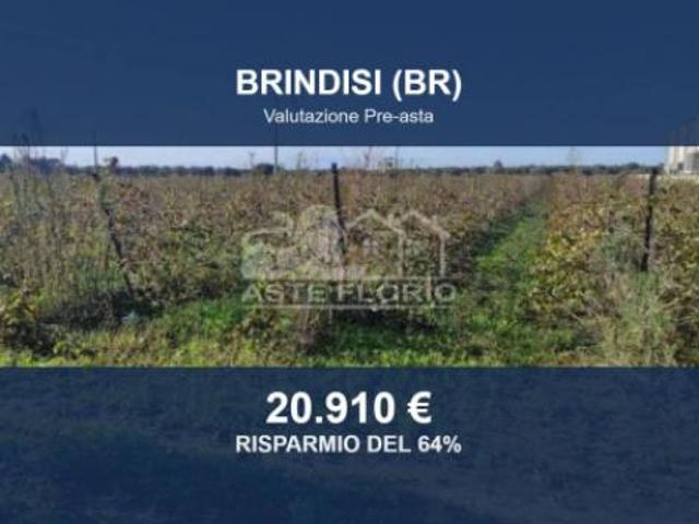 Terreno in vendita a Puglia, Brindisi