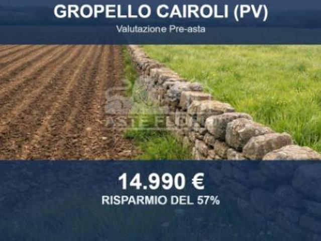 Terreno in vendita a Gropello Cairoli, Lombardia