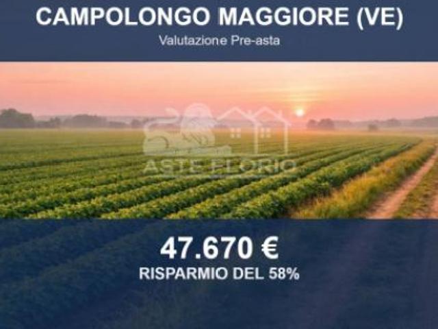 Terreno in vendita a Campolongo Maggiore, Veneto