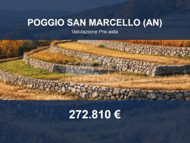 Terreno in vendita a Marche, Ancona