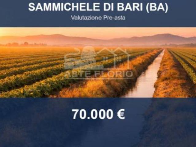 Terreno in vendita a Puglia, Bari