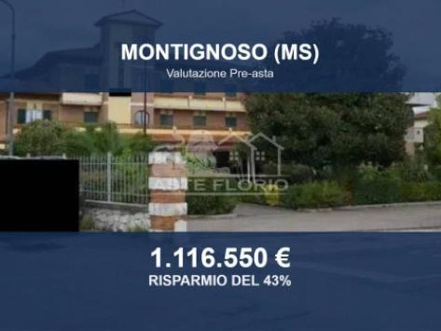 Locale Commerciale in vendita a Montignoso, Toscana