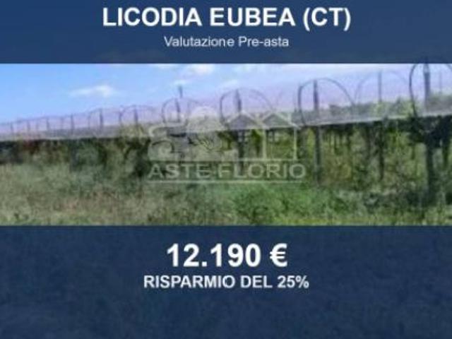 Terreno in vendita a Licodia Eubea, Sicilia