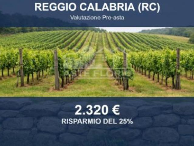 Terreno in vendita a Reggiolo, Reggio nell'Emilia