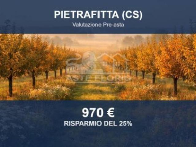 Terreno in vendita a Calabria, Cosenza