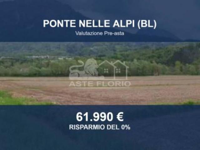 Terreno in vendita a Ponte nelle Alpi, Polpet